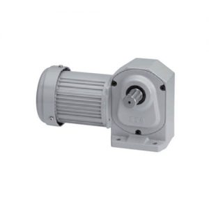 NISSEI GTR GEAR MOTOR